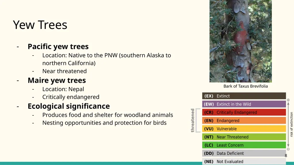 NATIONAL CENTER FOR CASE STUDY TEACHING IN SCIENCE - slide 8 of 17