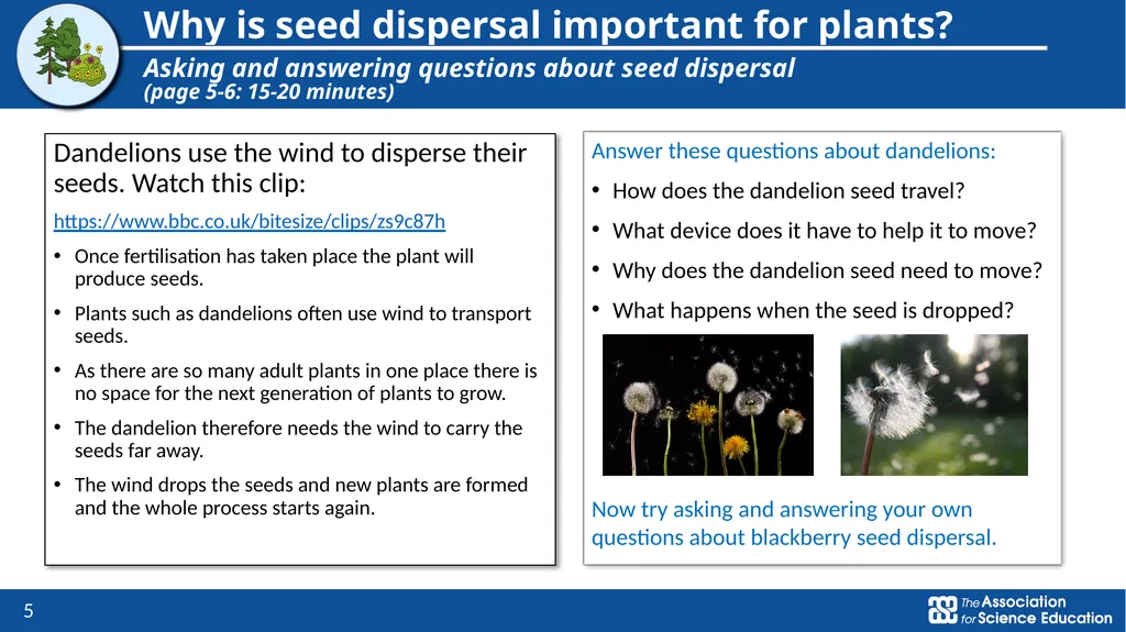 Plants Exploring seed dispersal in plants Year 3 - slide 5 of 9