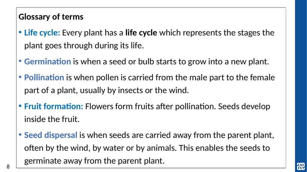 Plants Exploring seed dispersal in plants Year 3 - slide 8 of 9