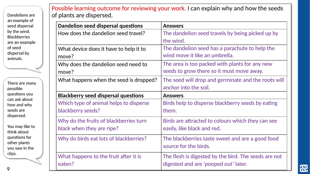 Plants Exploring seed dispersal in plants Year 3 - slide 9 of 9