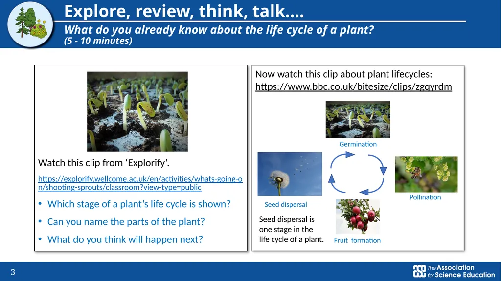 Plants Exploring seed dispersal in plants Year 3 - slide 3 of 9