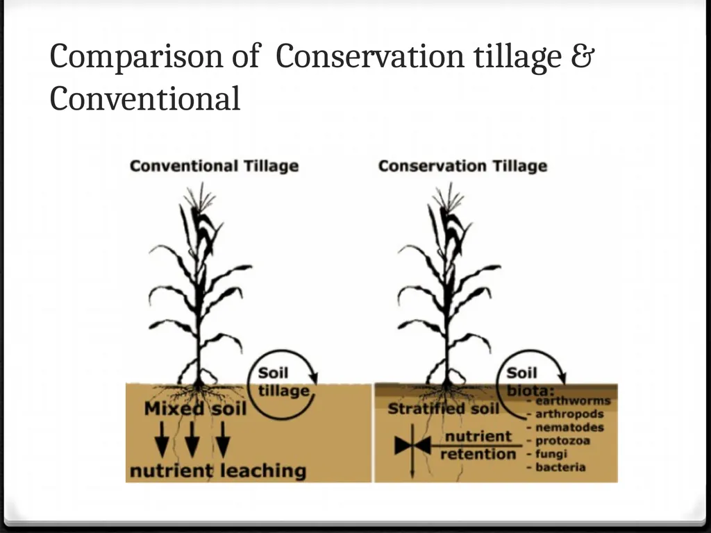 Unit 3: Human population, carrying capacity and - slide 33 of 36