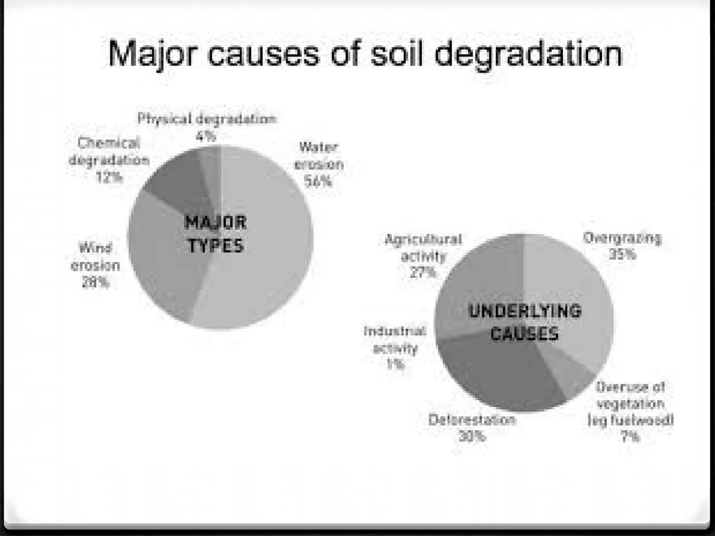 Unit 3: Human population, carrying capacity and - slide 23 of 36