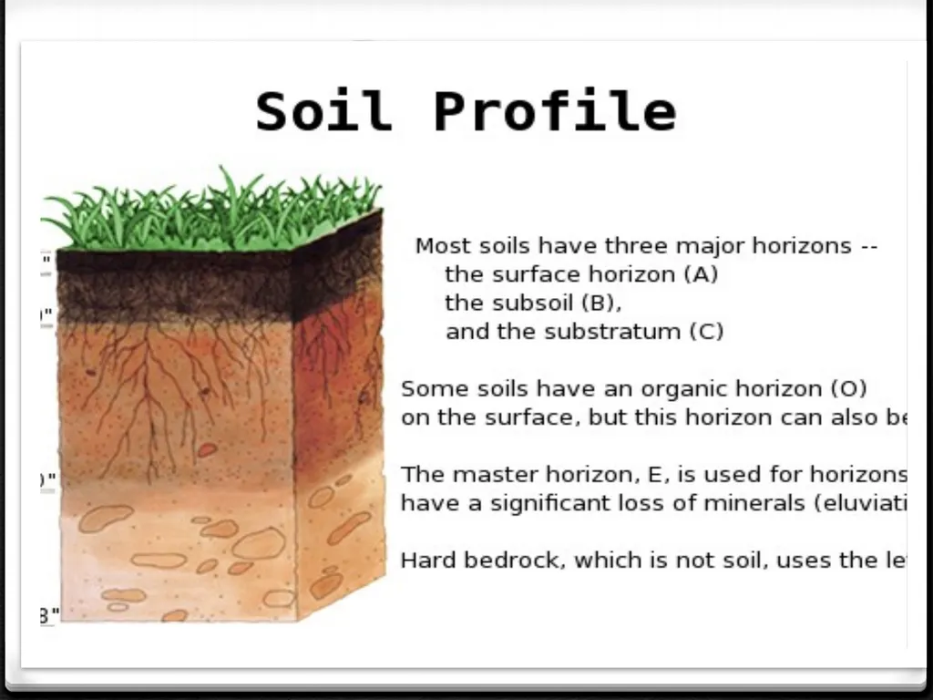 Unit 3: Human population, carrying capacity and - slide 8 of 36