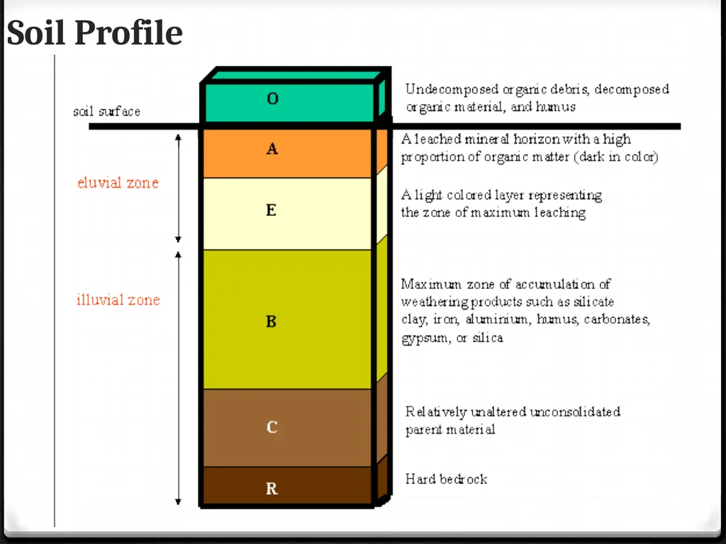 Unit 3: Human population, carrying capacity and - slide 7 of 36