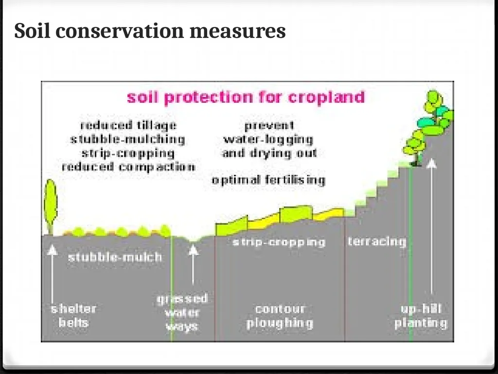 Unit 3: Human population, carrying capacity and - slide 30 of 36