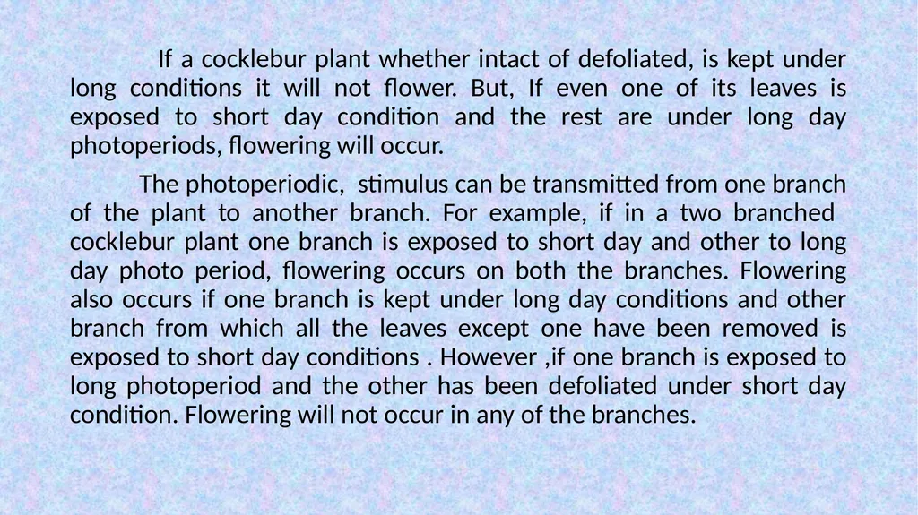 HAJEE KARUTHA ROWTHER HOWDIA COLLEGE UTHAMAPALAYAM - slide 12 of 15