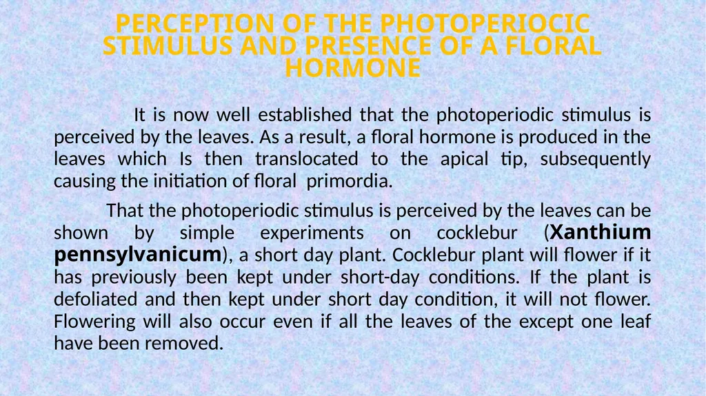 HAJEE KARUTHA ROWTHER HOWDIA COLLEGE UTHAMAPALAYAM - slide 11 of 15