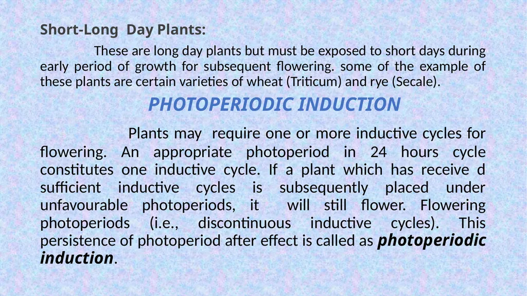 HAJEE KARUTHA ROWTHER HOWDIA COLLEGE UTHAMAPALAYAM - slide 9 of 15
