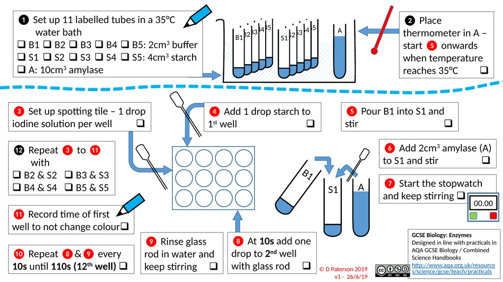 AQA Biology – GCSE Required Practicals Integrated - slide 6 of 15