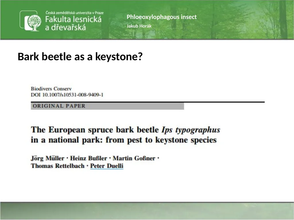 Phloeoxylophagous insect Jakub Horák Introduction - slide 27 of 55