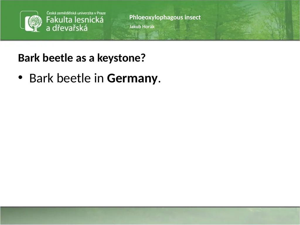 Phloeoxylophagous insect Jakub Horák Introduction - slide 28 of 55