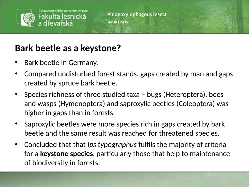 Phloeoxylophagous insect Jakub Horák Introduction - slide 32 of 55