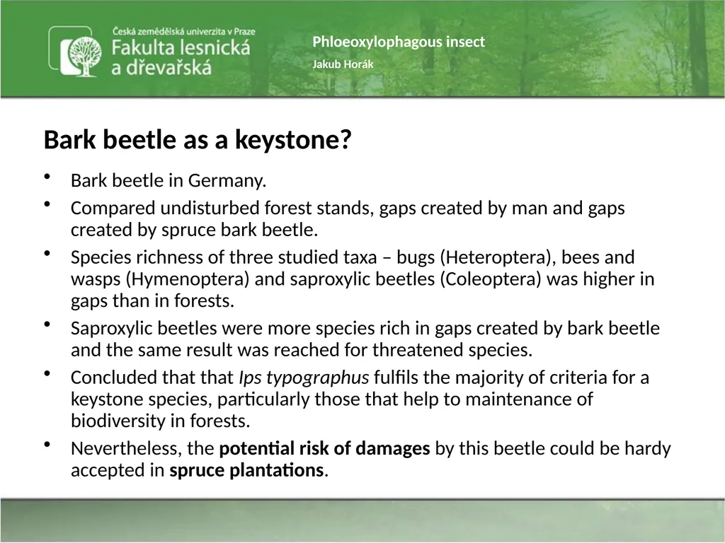 Phloeoxylophagous insect Jakub Horák Introduction - slide 33 of 55