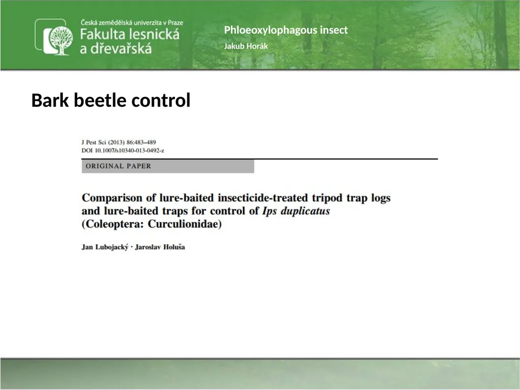 Phloeoxylophagous insect Jakub Horák Introduction - slide 14 of 55