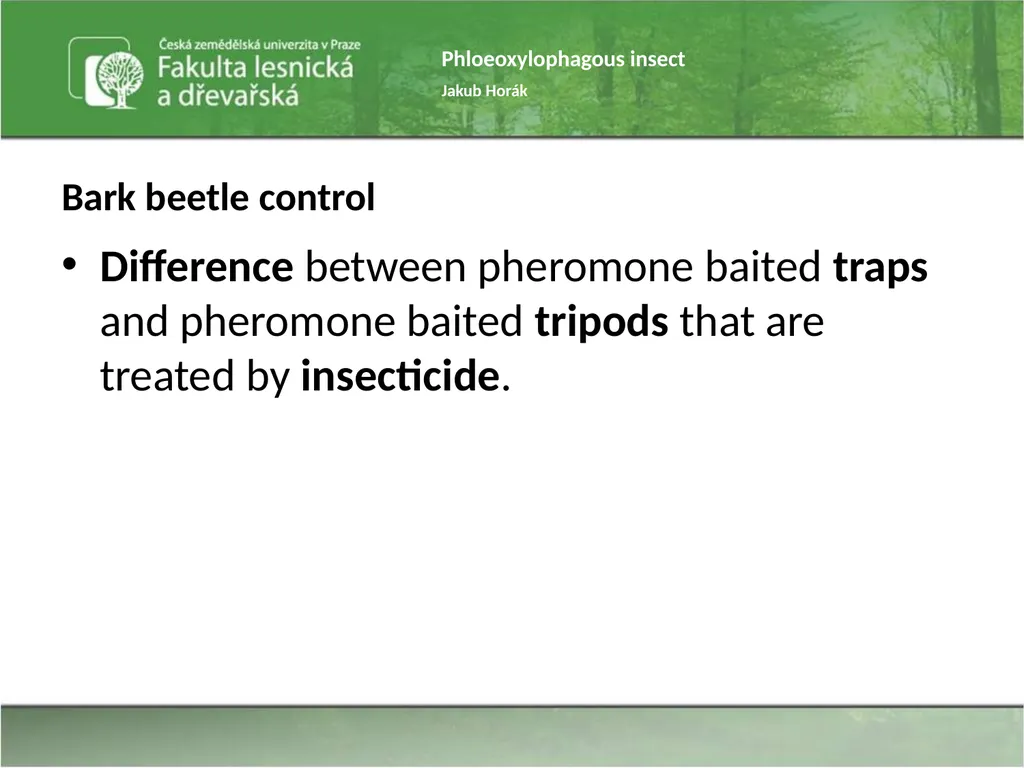 Phloeoxylophagous insect Jakub Horák Introduction - slide 15 of 55