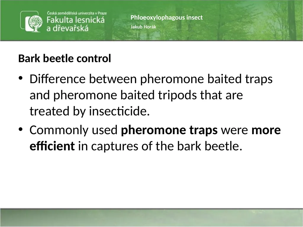 Phloeoxylophagous insect Jakub Horák Introduction - slide 16 of 55