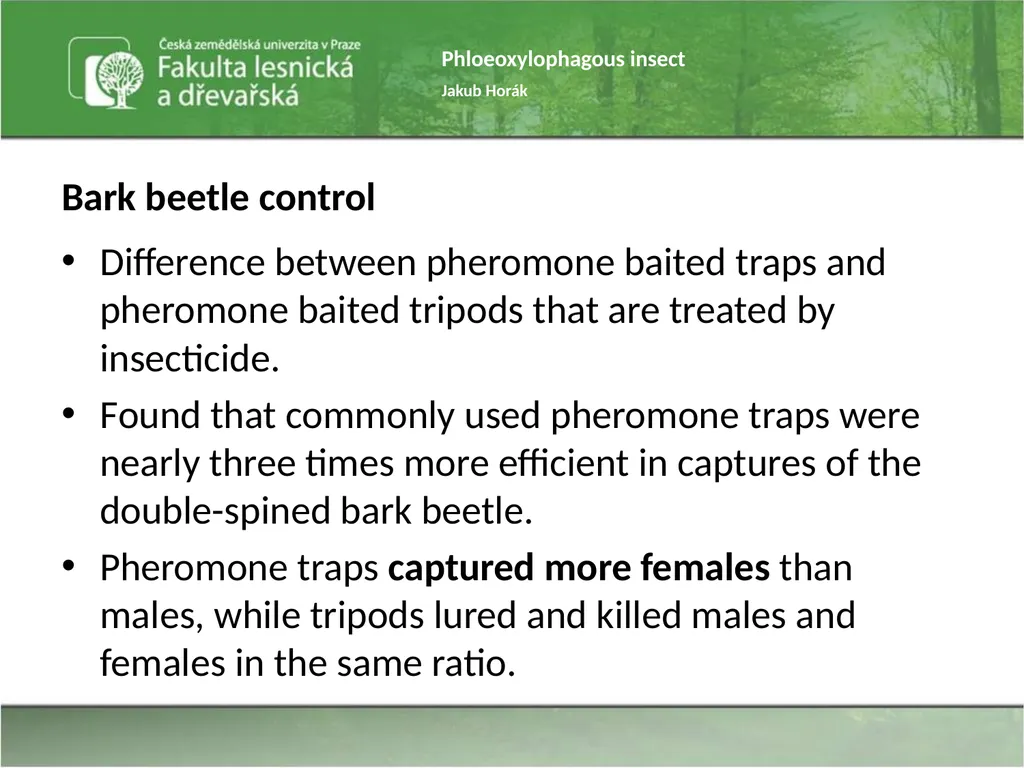 Phloeoxylophagous insect Jakub Horák Introduction - slide 17 of 55
