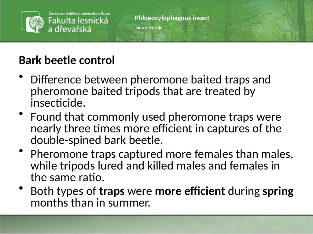 Phloeoxylophagous insect Jakub Horák Introduction - slide 18 of 55