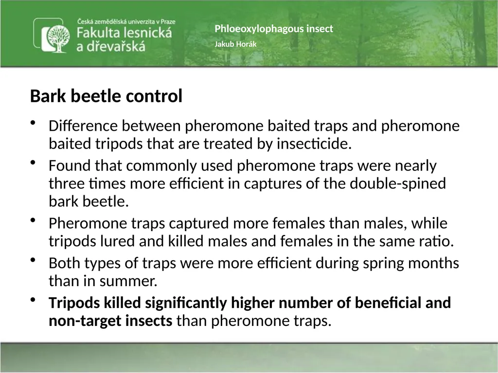 Phloeoxylophagous insect Jakub Horák Introduction - slide 19 of 55