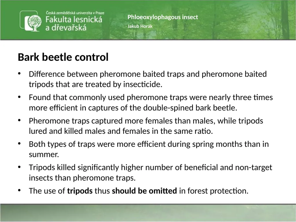 Phloeoxylophagous insect Jakub Horák Introduction - slide 20 of 55