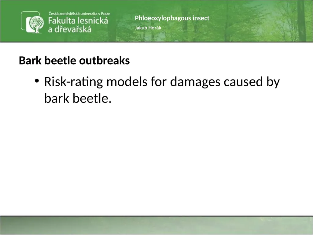 Phloeoxylophagous insect Jakub Horák Introduction - slide 10 of 55