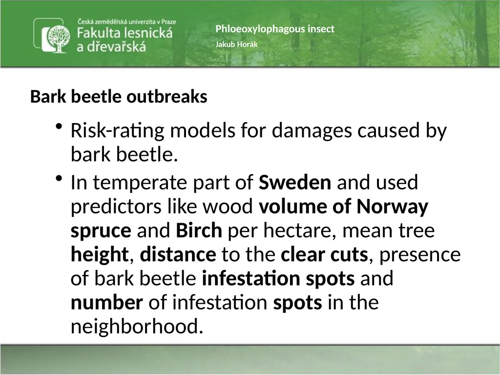 Phloeoxylophagous insect Jakub Horák Introduction - slide 11 of 55