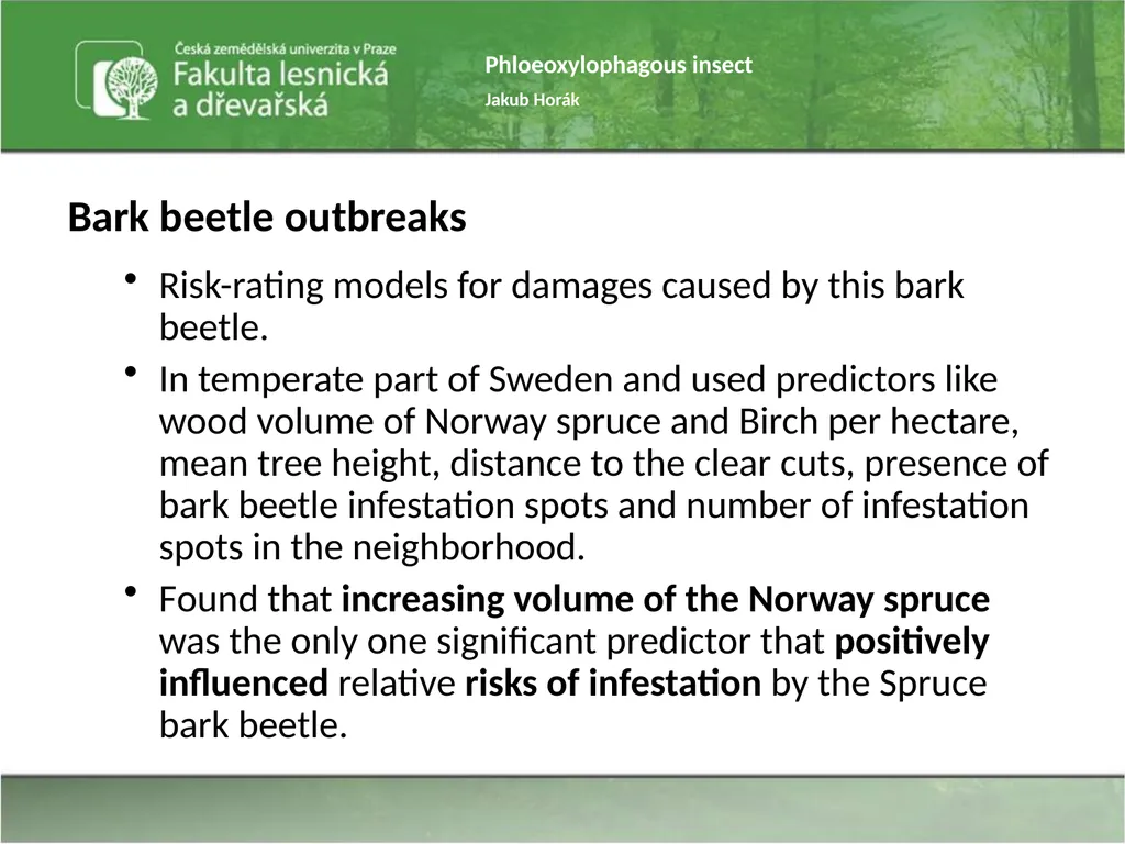 Phloeoxylophagous insect Jakub Horák Introduction - slide 12 of 55