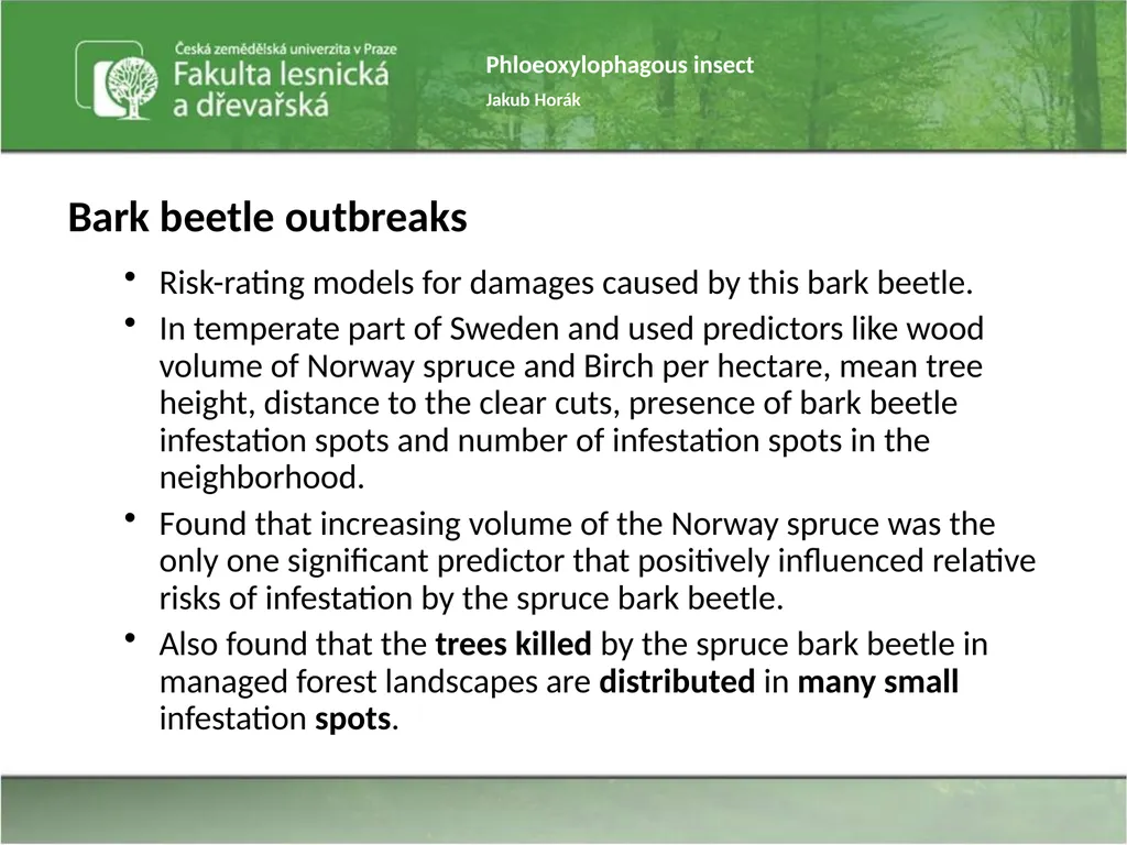 Phloeoxylophagous insect Jakub Horák Introduction - slide 13 of 55