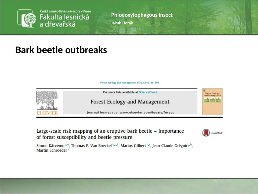 Phloeoxylophagous insect Jakub Horák Introduction - slide 9 of 55