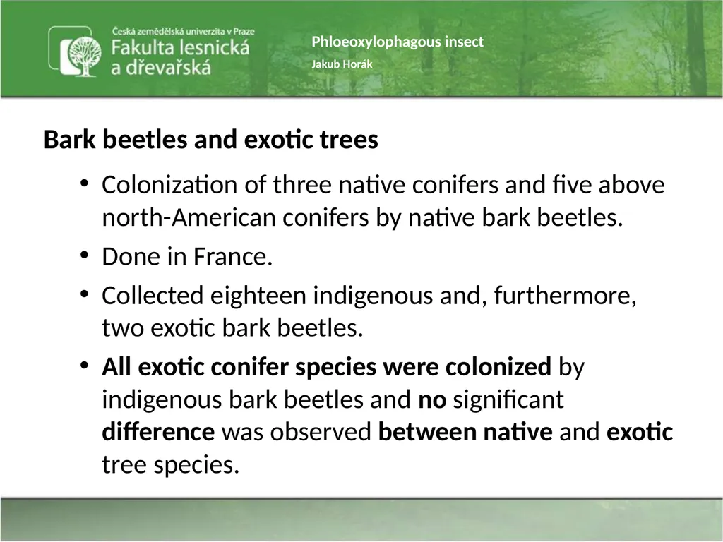 Phloeoxylophagous insect Jakub Horák Introduction - slide 38 of 55