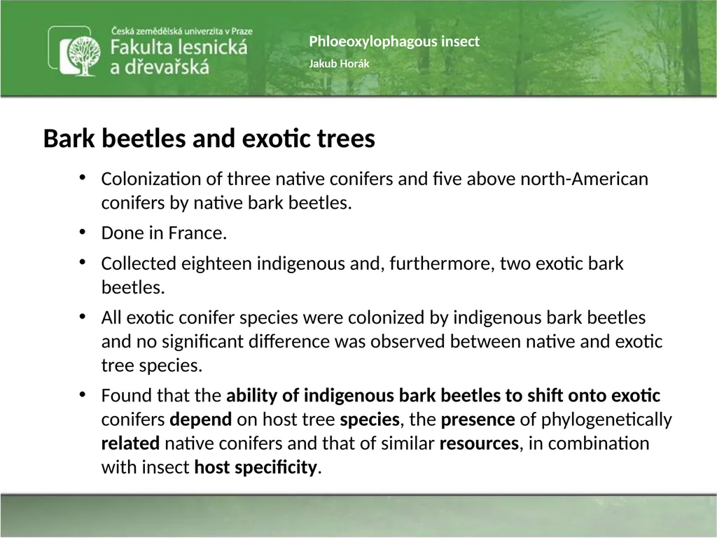 Phloeoxylophagous insect Jakub Horák Introduction - slide 39 of 55