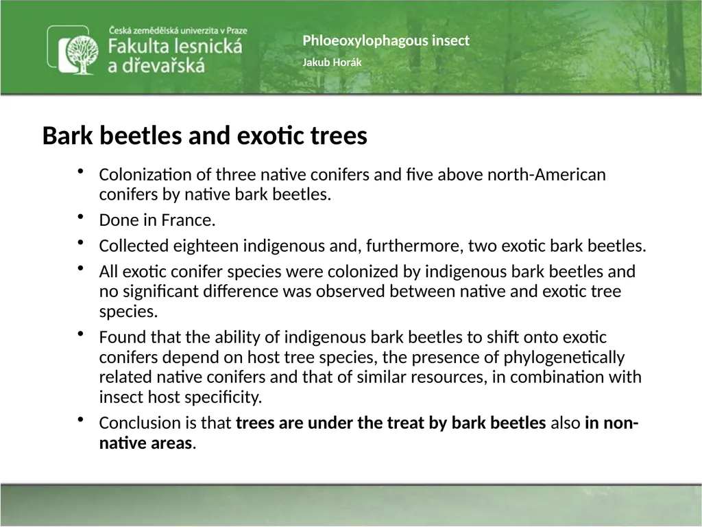 Phloeoxylophagous insect Jakub Horák Introduction - slide 40 of 55