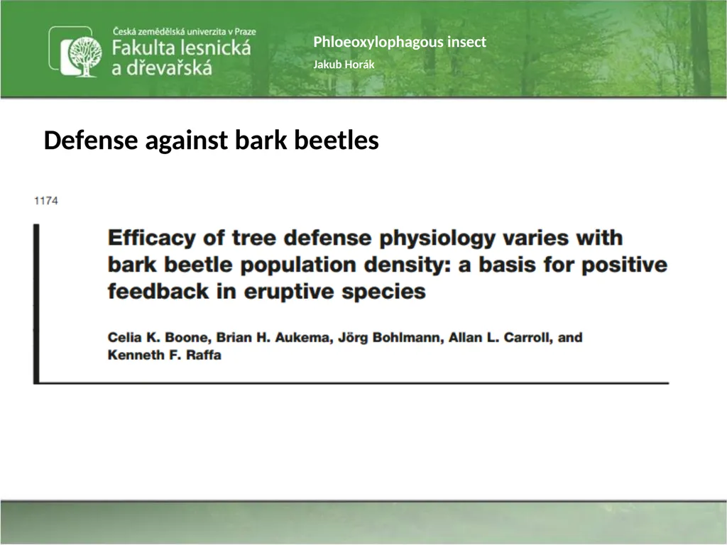 Phloeoxylophagous insect Jakub Horák Introduction - slide 49 of 55