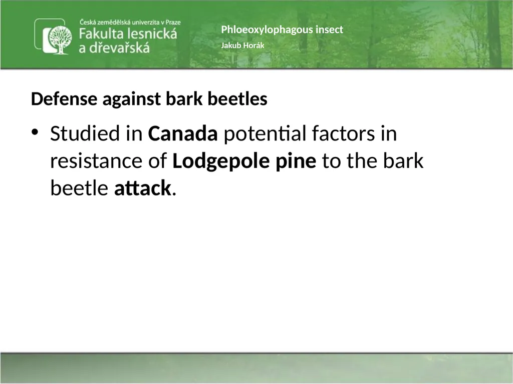 Phloeoxylophagous insect Jakub Horák Introduction - slide 50 of 55
