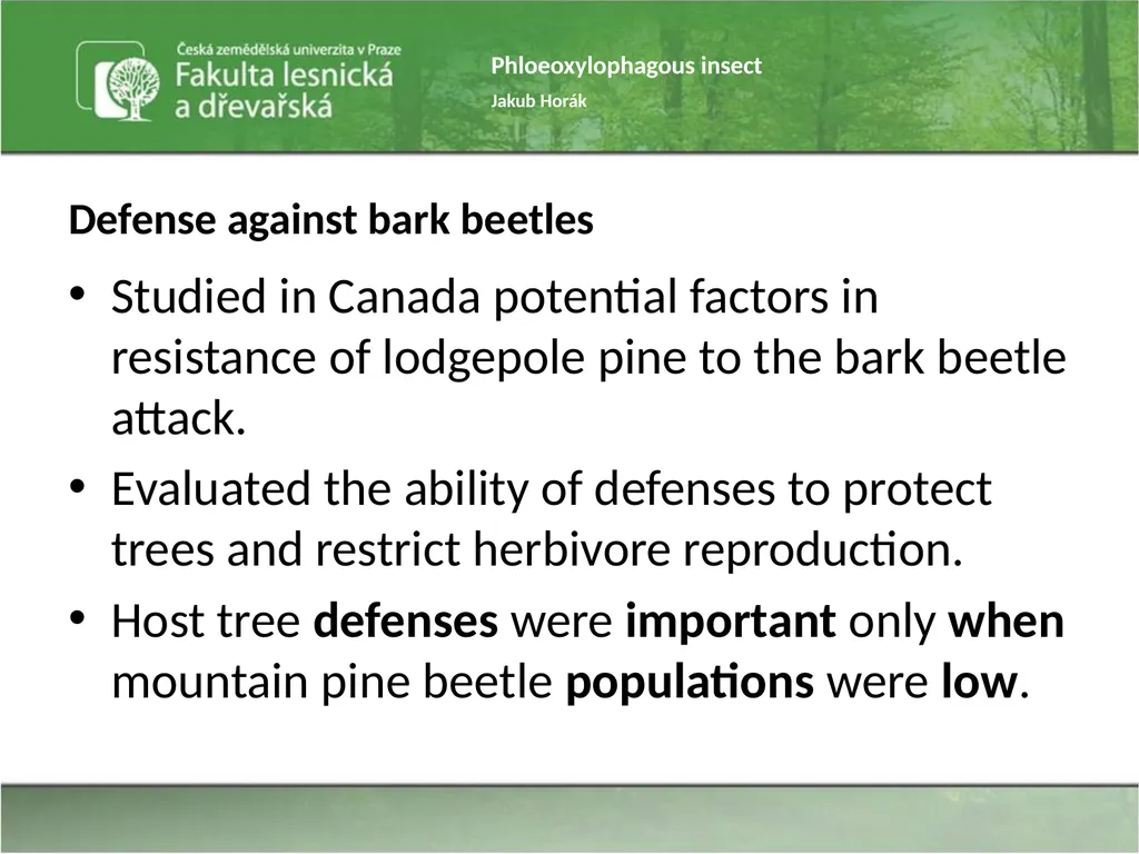 Phloeoxylophagous insect Jakub Horák Introduction - slide 52 of 55