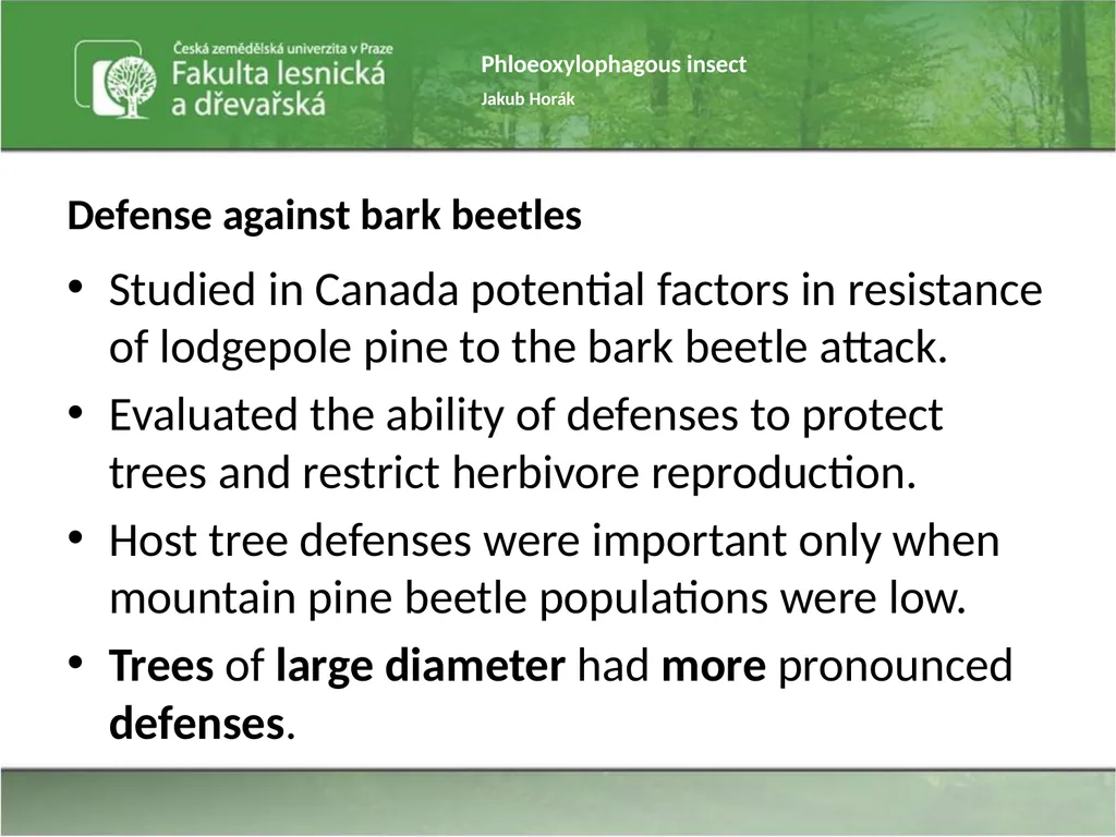 Phloeoxylophagous insect Jakub Horák Introduction - slide 53 of 55