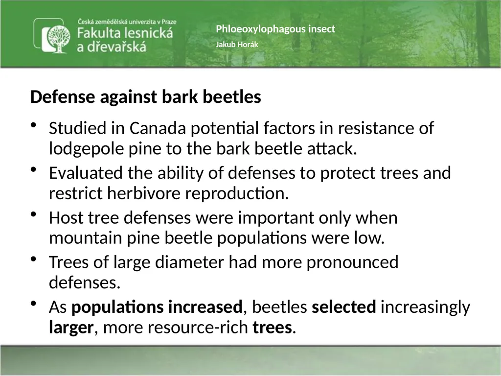 Phloeoxylophagous insect Jakub Horák Introduction - slide 54 of 55