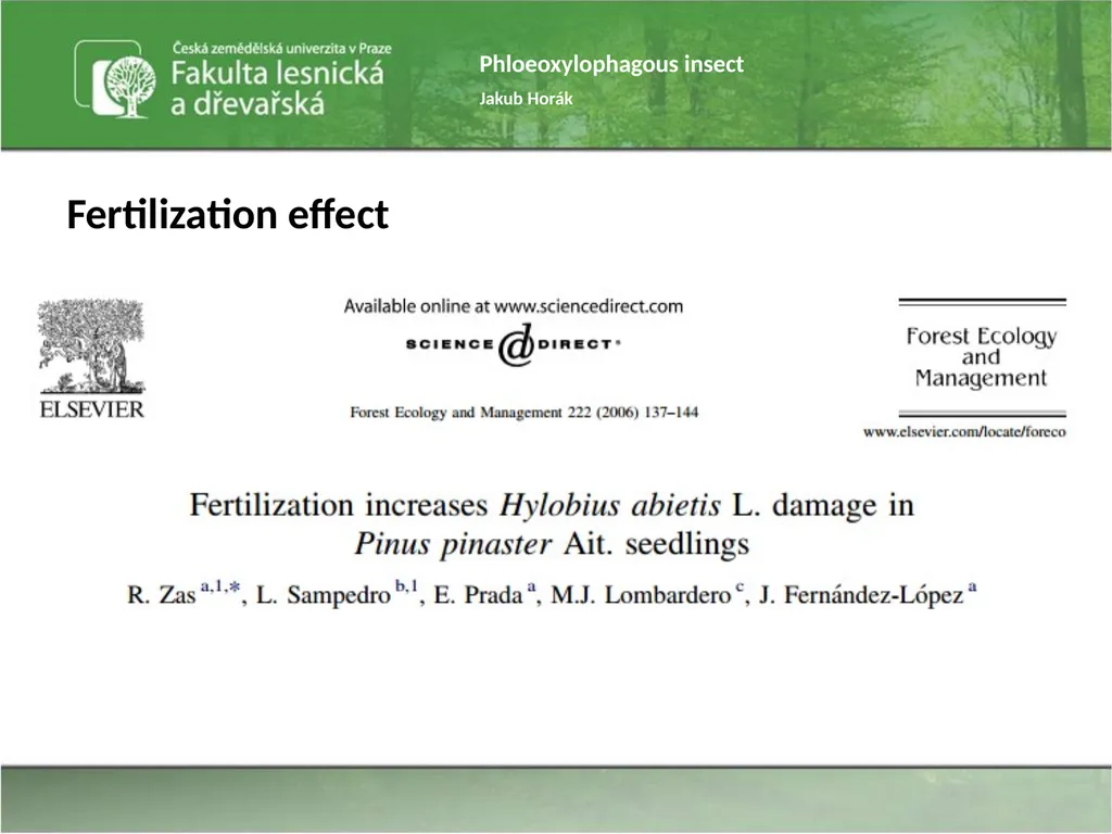 Phloeoxylophagous insect Jakub Horák Introduction - slide 21 of 55