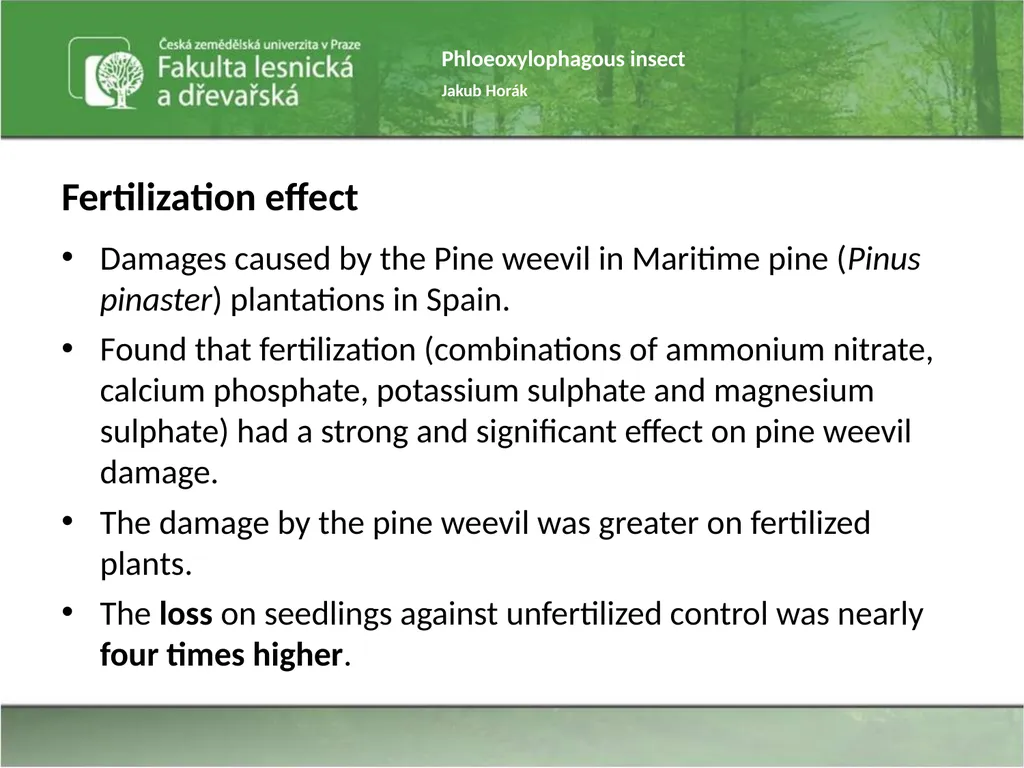 Phloeoxylophagous insect Jakub Horák Introduction - slide 25 of 55