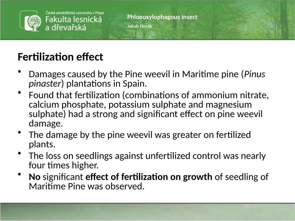 Phloeoxylophagous insect Jakub Horák Introduction - slide 26 of 55