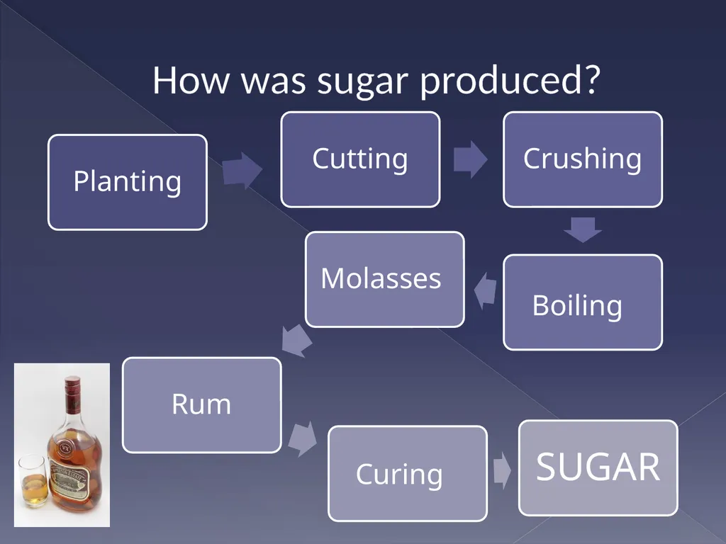 Slavery and the sugar plantation Learning - slide 6 of 20