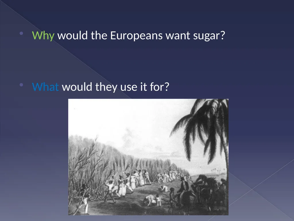 Slavery and the sugar plantation Learning - slide 4 of 20