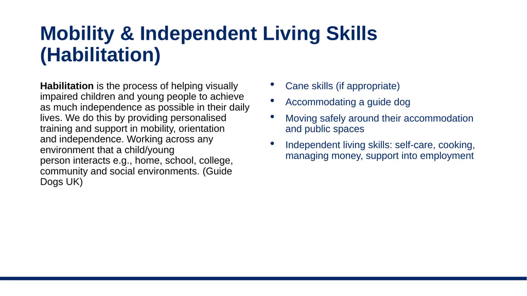 Blind and partially sighted students in post 16 - slide 8 of 23