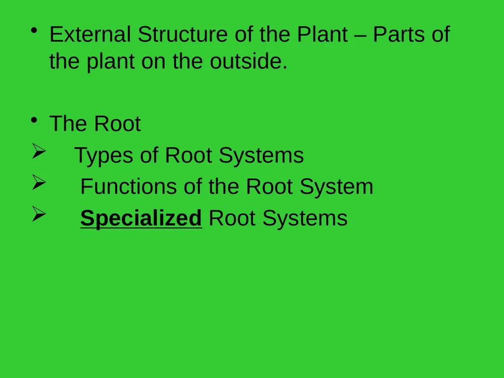 The EXTERNAL Structure of PLANTS External - slide 2 of 12