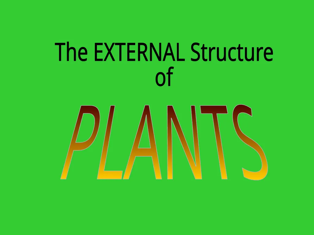 The EXTERNAL Structure of PLANTS External