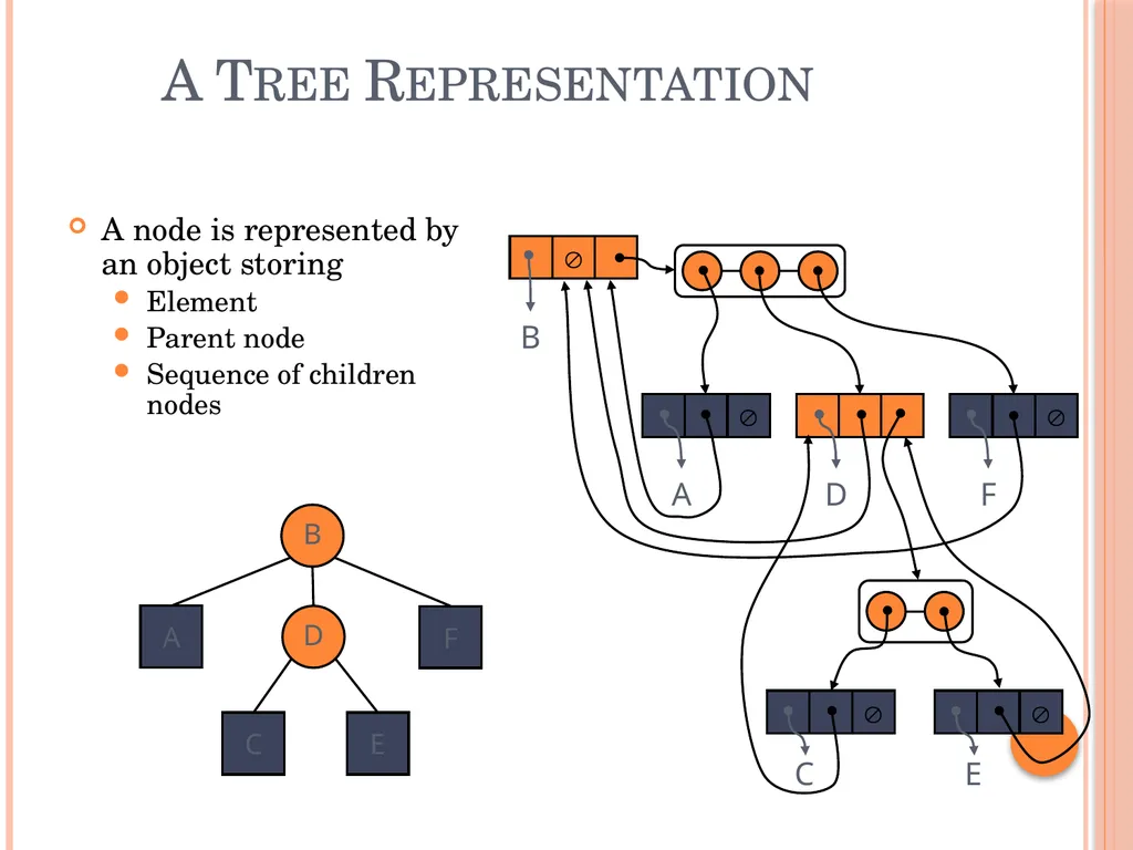 Trees and Binary Trees Become Rich Force Others to - slide 10 of 55
