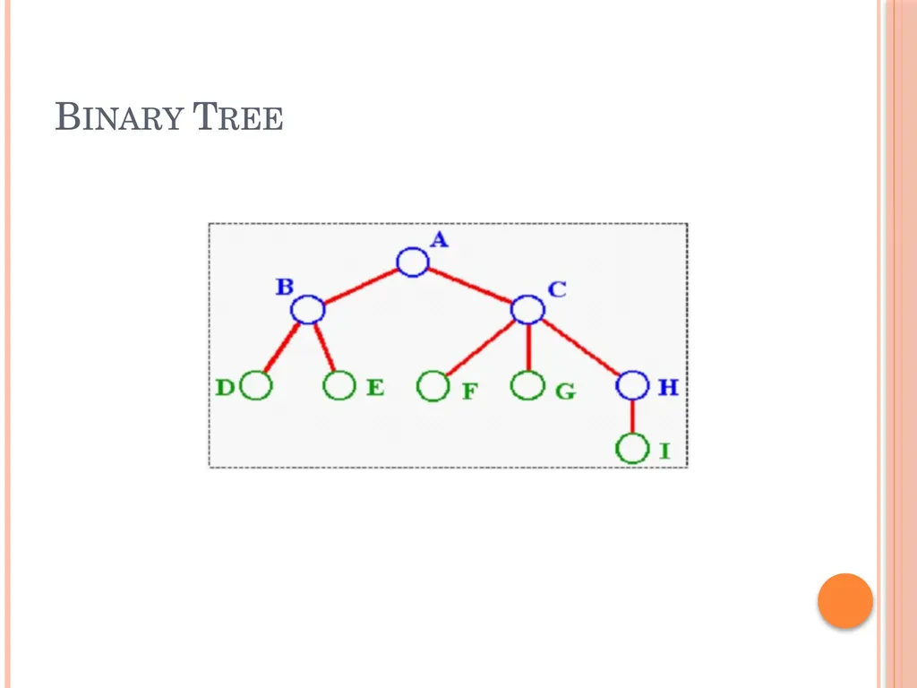 Trees and Binary Trees Become Rich Force Others to - slide 38 of 55
