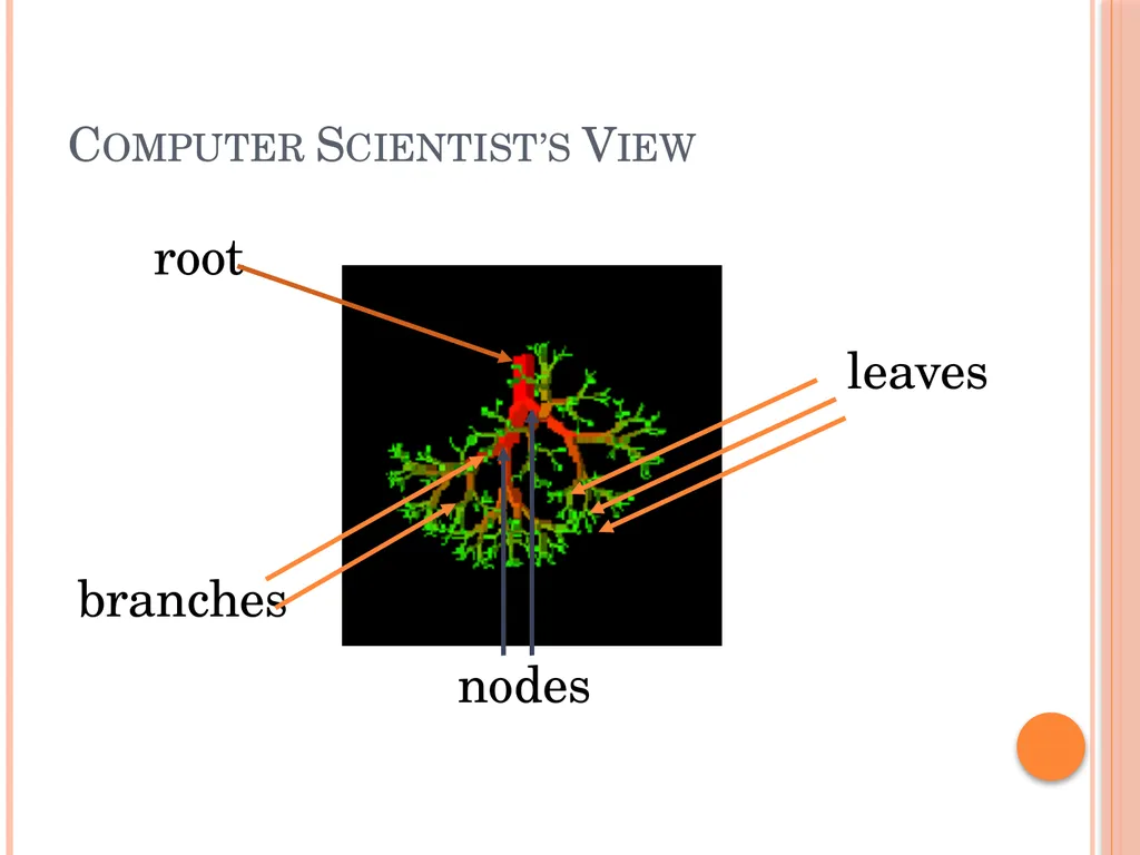 Trees and Binary Trees Become Rich Force Others to - slide 3 of 55
