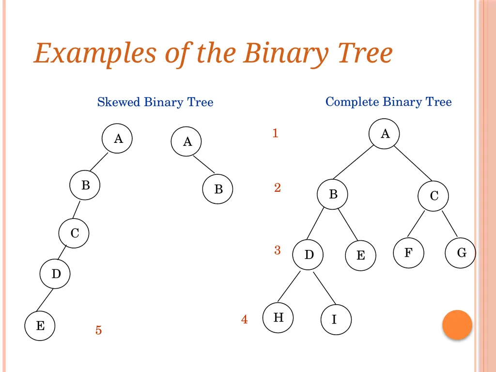 Trees and Binary Trees Become Rich Force Others to - slide 17 of 55